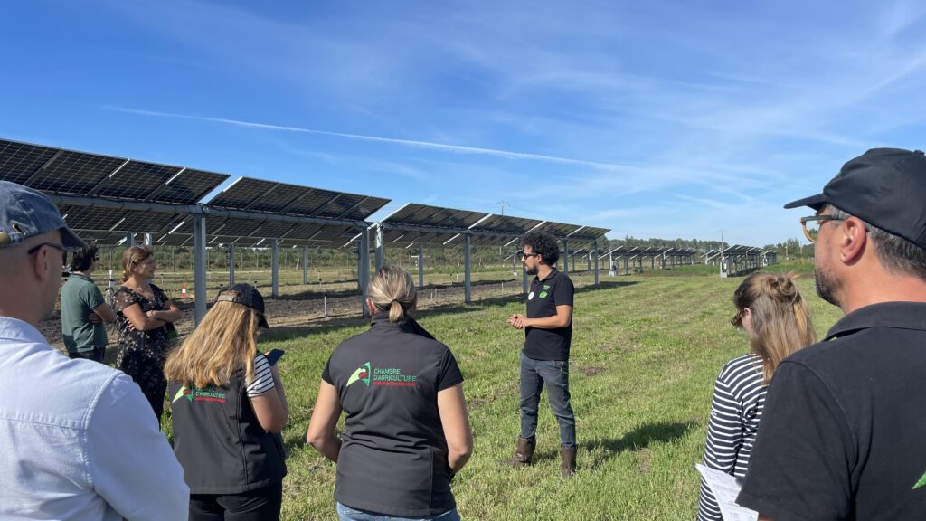 Visite du site