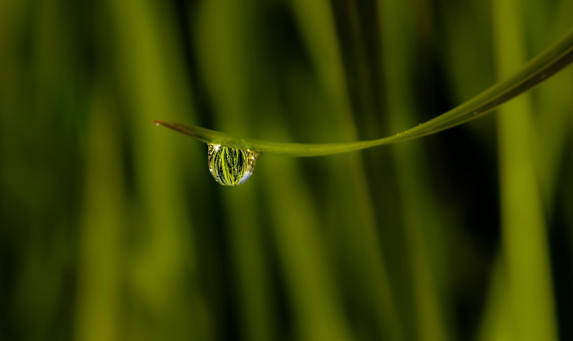 Etude sur l’irrigation